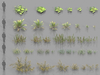 花草组合 现代植物 湿地植物 花草灌木