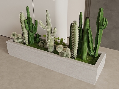 植物堆 仙人掌 室内景观 小品 仙人掌造景