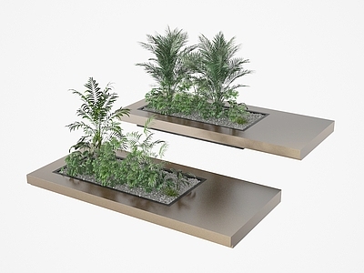 盆栽 盆栽 盆景 植物 绿植 植物堆