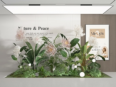 其他绿植 植物美陈 植物景观 花艺美陈 植物 绿植