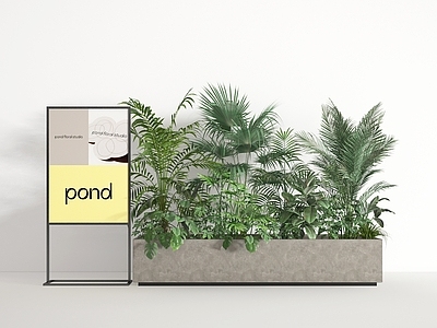 盆栽 盆栽 盆景 植物 绿植 植物组合