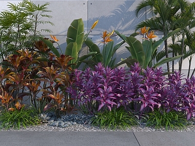 植物堆 现代植物组合 变叶木 朱蕉 景观灌木