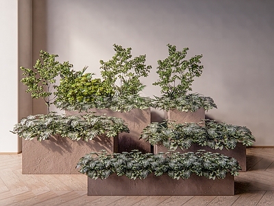 植物组合 盆栽组合 树池植物组合 树池 花箱 植物箱