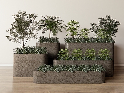 植物组合 盆栽组合 树池植物组合 植物池 花箱 花池
