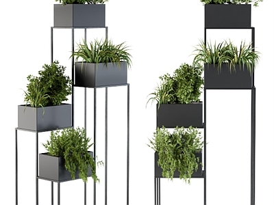 其他绿植 绿植箱 绿植架