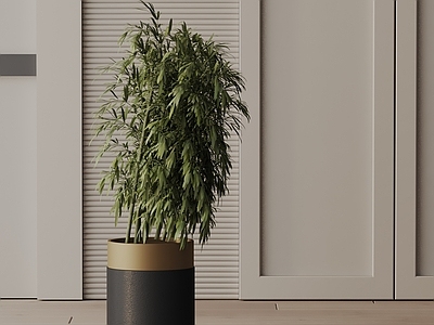 盆栽 现代盆栽