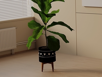 盆栽 现代盆栽
