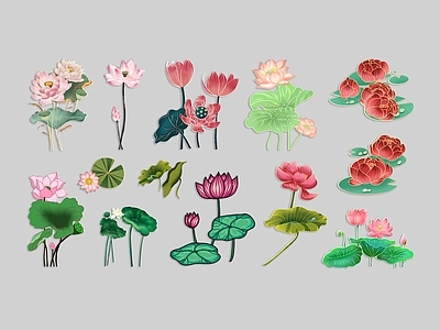 花草 荷花 莲花 荷叶 国潮插画 花卉