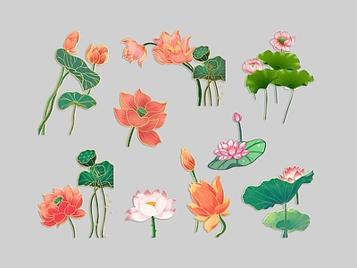 花草 荷花 莲花 荷叶 国潮插画 花卉