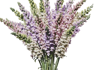 现代新中式花艺 花瓶 花艺 花束 金鱼草 薰衣草
