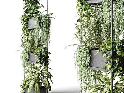 现代新中式绿植墙 花架 植物墙 植物摆件 绿植摆件 绿植墙 植物架