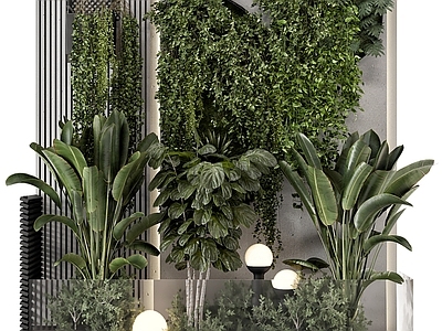 植物堆 植物堆 庭院绿植景观
