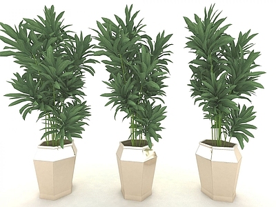 现代佛龛 现代风格植物