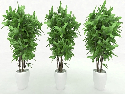 现代佛龛 现代风格植物