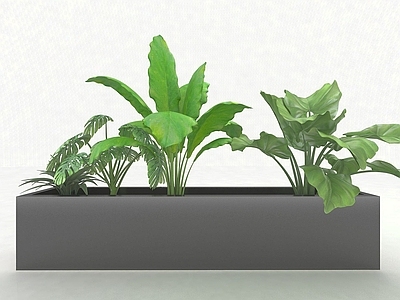 现代佛龛 现代风格植物