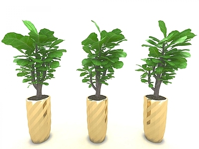 现代佛龛 现代风格植物