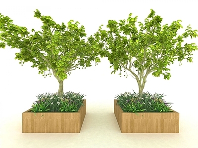 现代佛龛 现代风格植物