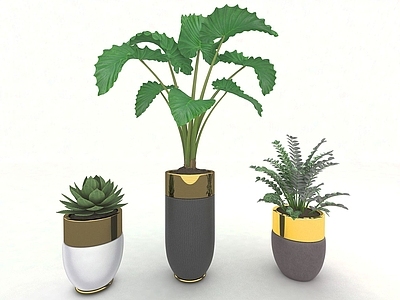 现代佛龛 现代风格植物