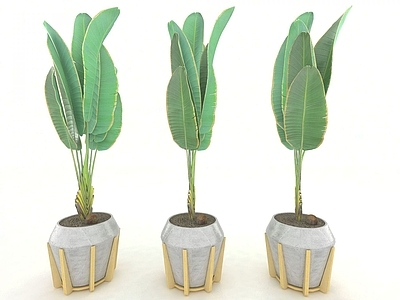 现代佛龛 现代风格植物