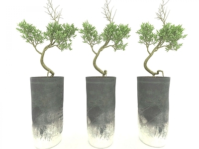 现代佛龛 现代风格植物