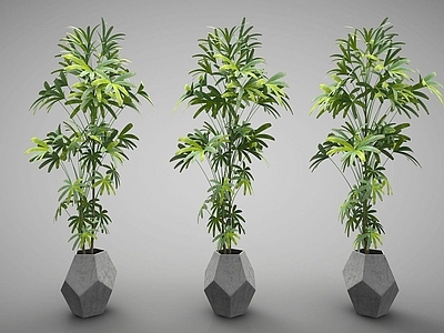 现代佛龛 现代风格植物