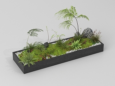 花箱 植物造景 植物组合 植物花箱 户外绿植花箱