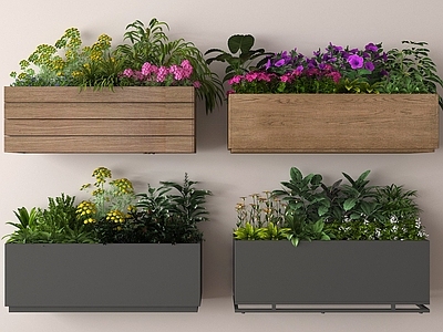花箱 户外植物组合 花坛花箱 花草植物盆栽 花箱外摆花箱