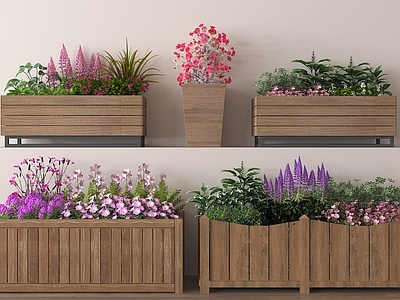 花箱 植物造景 植物组合 植物花箱 户外绿植花箱