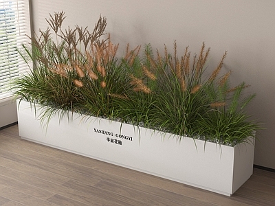植物组合 绿植花箱 植物花箱 植物组合 植物造景