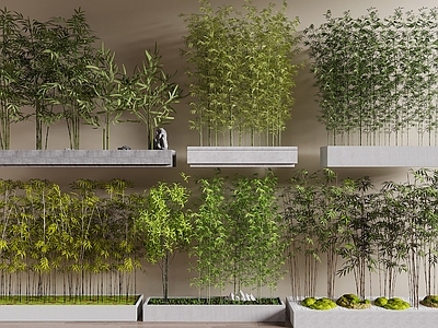 竹子 树池竹子 景观竹子 竹林 景观造景