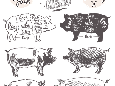 现代纸书本 免扣手绘猪 手绘动物