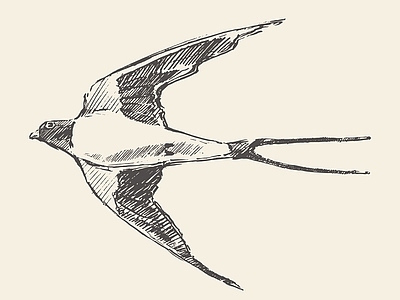 现代纸书本 鸟手绘壁画 燕子