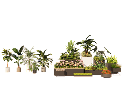 植物组合 盆栽组合 树池植物组合 绿植 植物