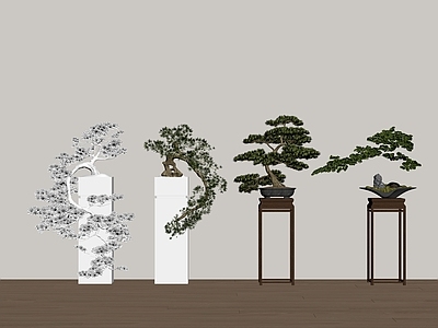 盆栽 松树盆景 罗汉松盆栽 盆栽摆件