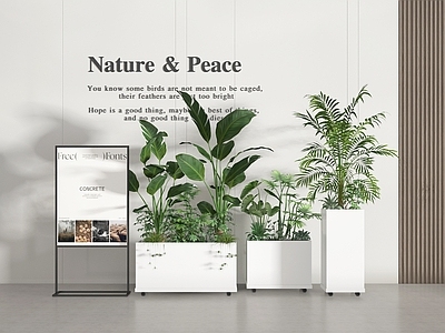 盆栽 盆栽 盆景 植物 绿植 植物组合