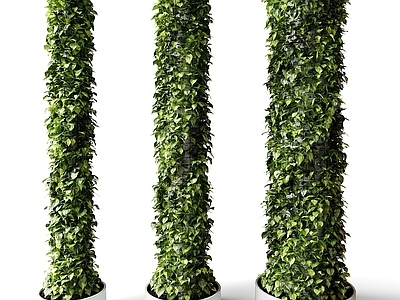 藤蔓 藤蔓柱 绿植柱 爬藤柱 爬藤 景观绿植柱