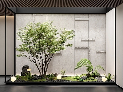 现代室内景观 景观造景 庭院小品 枫树景观树 石材背景墙 植物堆
