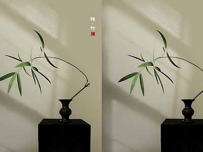盆栽 禅意诧寂风盆景