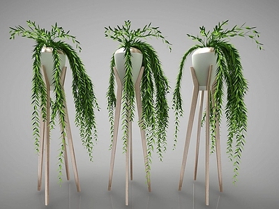 现代佛龛 现代风格植物