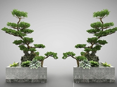 现代佛龛 现代装饰盆栽