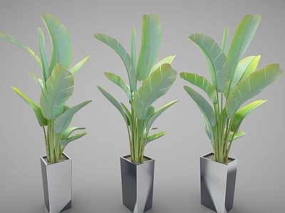 现代佛龛 现代装饰植物