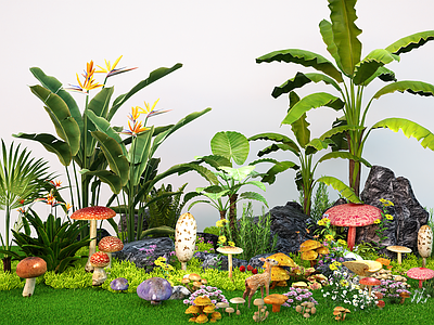现代植物组合 植物景观小品 野生蘑菇 菌菇 花卉花草花镜 石头