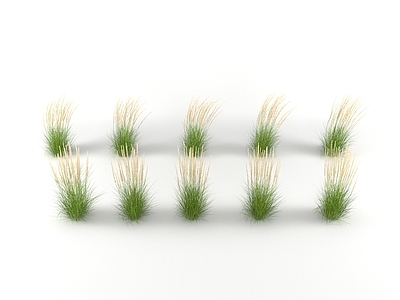 草 植物 花草