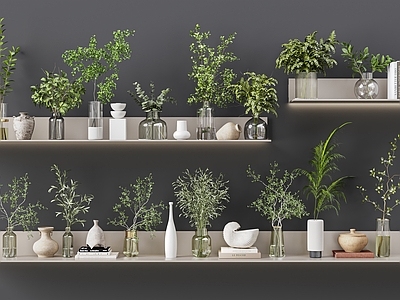 水生植物 现代植物 绿植摆件饰品 饰品摆件 桌面花瓶 书本摆件
