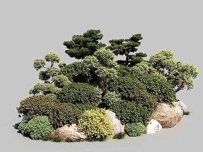 植物堆 植物堆 景观植物 灌木球 松树