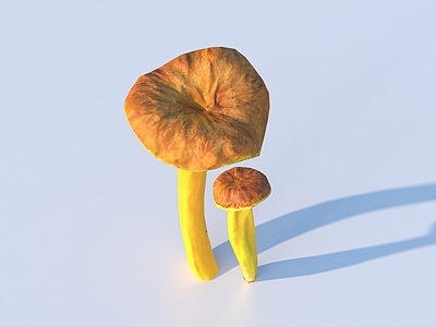 农作物 蘑菇 草菇 毒蘑