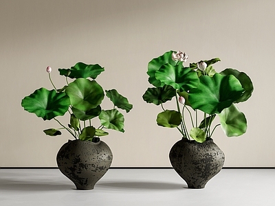 中式鱼缸 荷花缸 古法鱼缸 水钵 水生植物 庭院小品