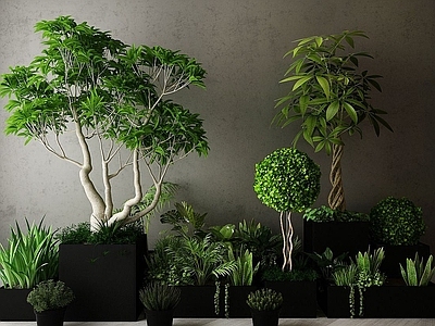 现代佛龛 现代装饰植物