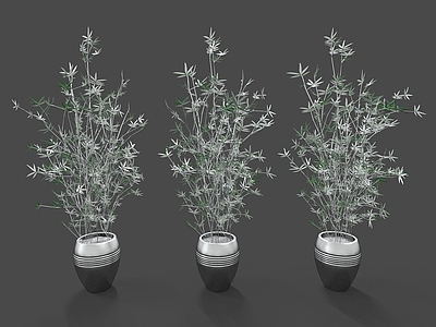 现代佛龛 现代装饰植物