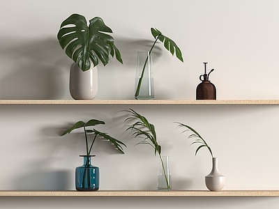 水生植物